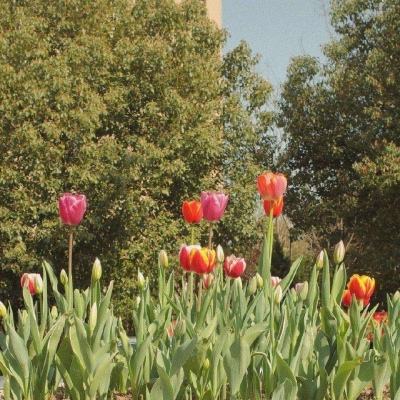 万博全站(ManBetX)