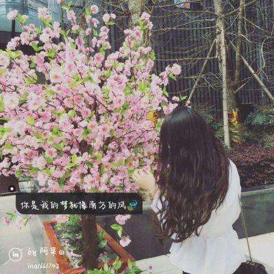 易倍手机app下载